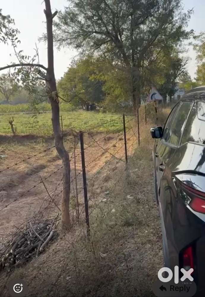 2 vigha jamin- Hadvi Dangarva Road touch