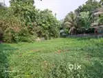 8 cent House plot for sale at Paravur kavala Aluva