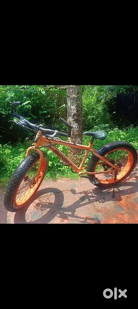 BENSHI FAT TYRE GEAR CYCLE