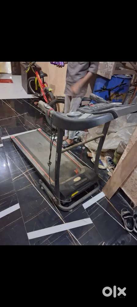 Cockatoo Motorized Treadmill for Sale