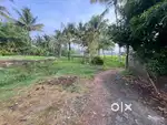 Aluva Uc college 2km 4cent plot 1300sqt തറയും 16lakh