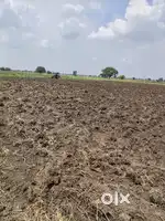 88 cents agricultural land
