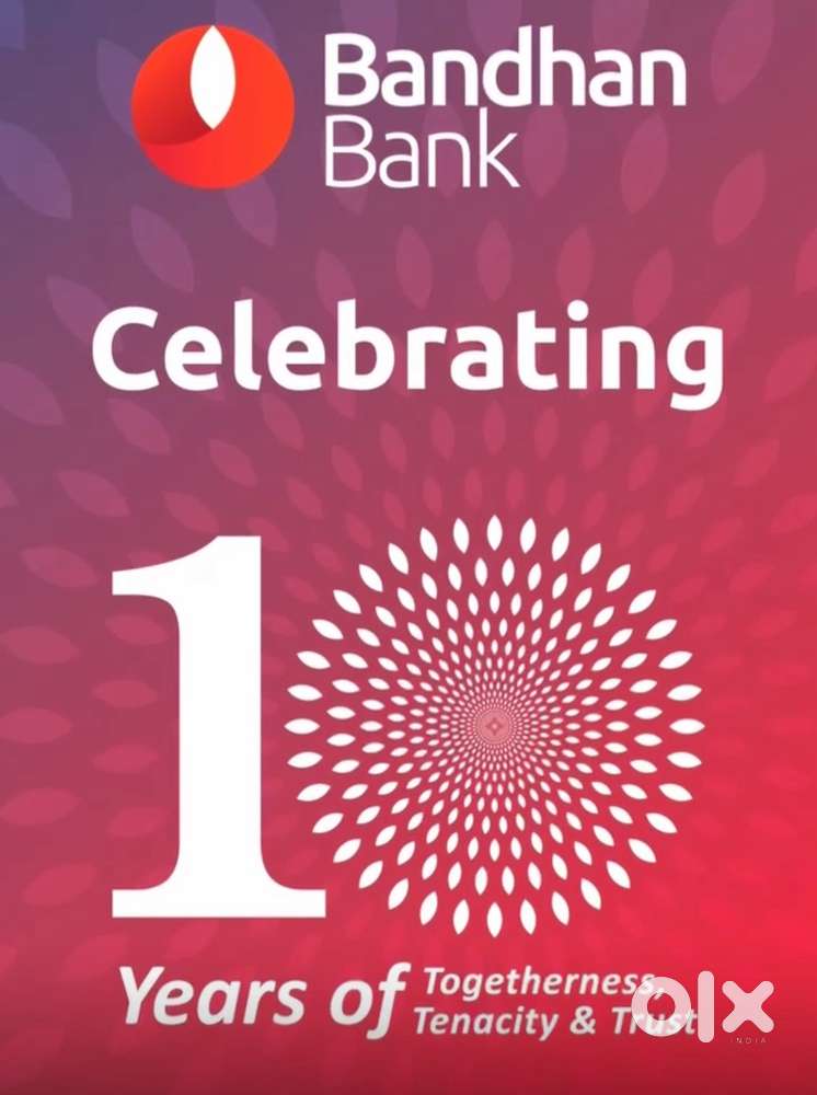 Looking for one year experienced staff in financial industry