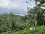 8 ACRE RIVER FRONTAGE RESORT LAND FOR SALE AT MANANTHAVADY