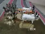 Bullcart show piece