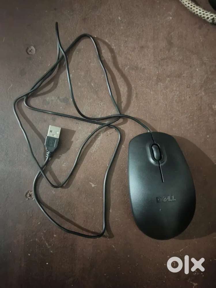 Dell Mouse 1 week old