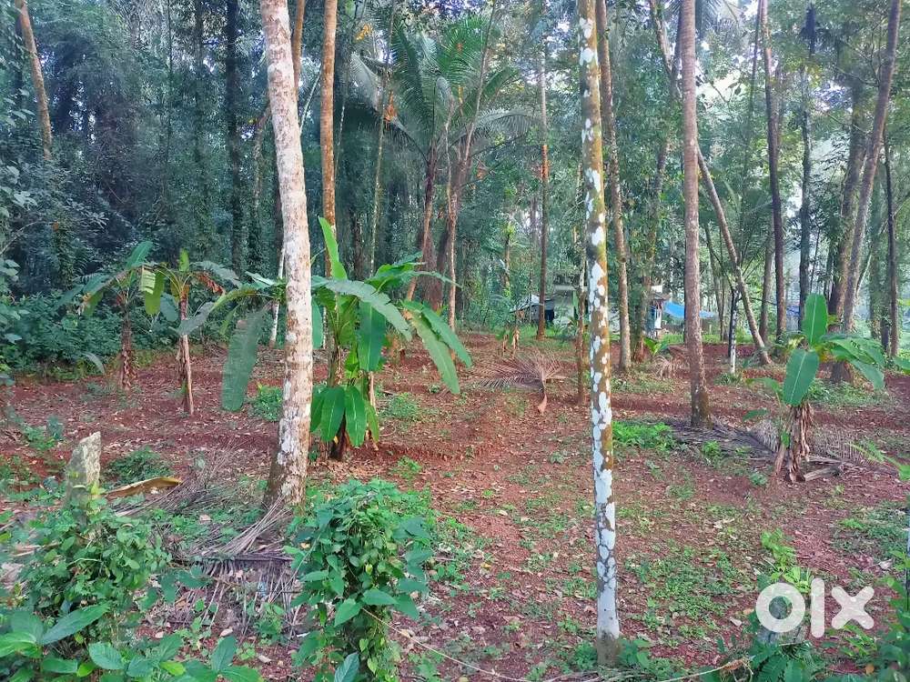 Residential land for sale