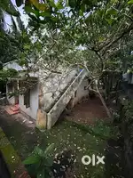 6.5cent plot with small house and 700mtr distance only from highway