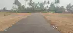 Punjai land for sale