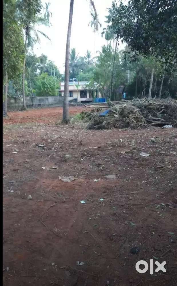 House plot in rectangle shape 28 cent land,