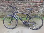 Popular Mach City Models

1. Mach City iBike

Type: Hybrid/City Bike