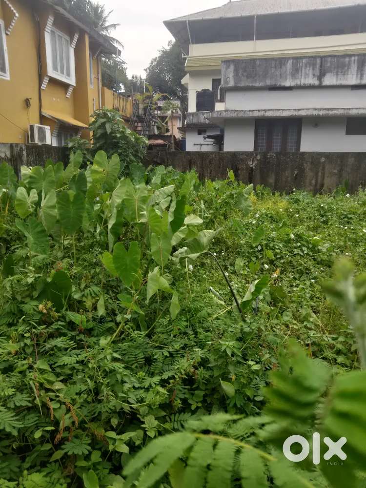 14 CENT ORIGINAL റോഡ് ഫ്രണ്ട് LAND THRISSUR OORAKAM വിലങ്ങോട്ടിൽ റോഡ്