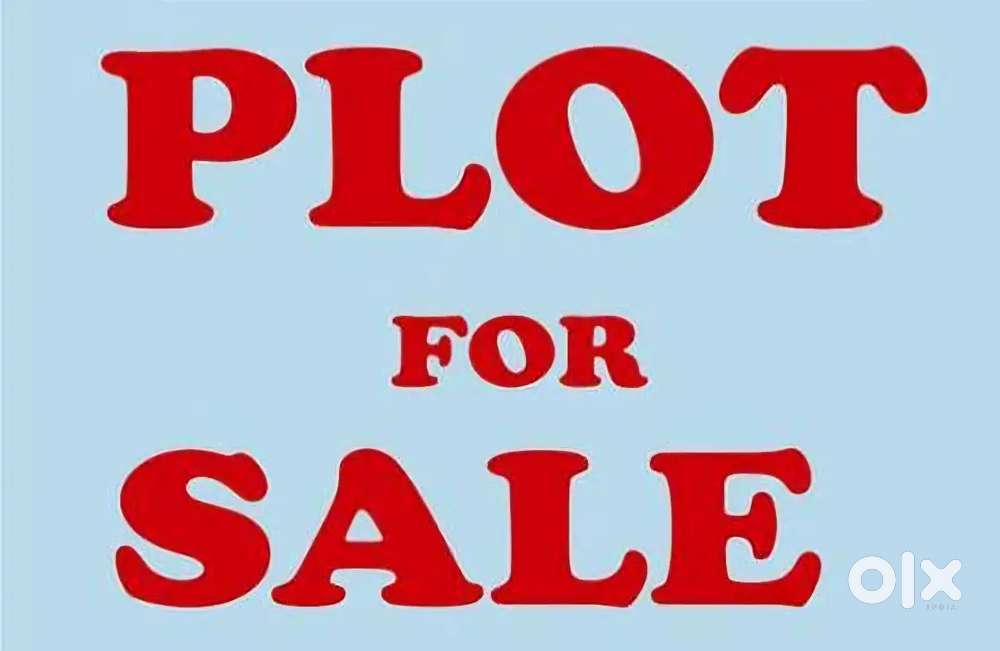 4 ACRE LAND WITH THREE SIDE 5 MTR ROAD- CHALA - KANNUR TOWN- 2.25 LAKH