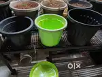 Garden Pots 10,12,14 inches for Sale