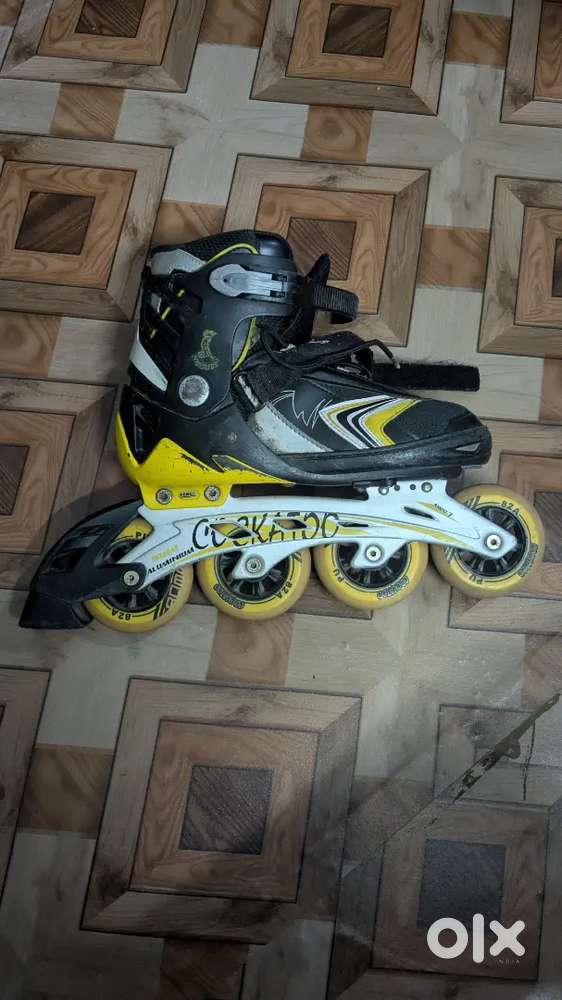 I want to sell my 2 month old inline skates we worth rupees 5500