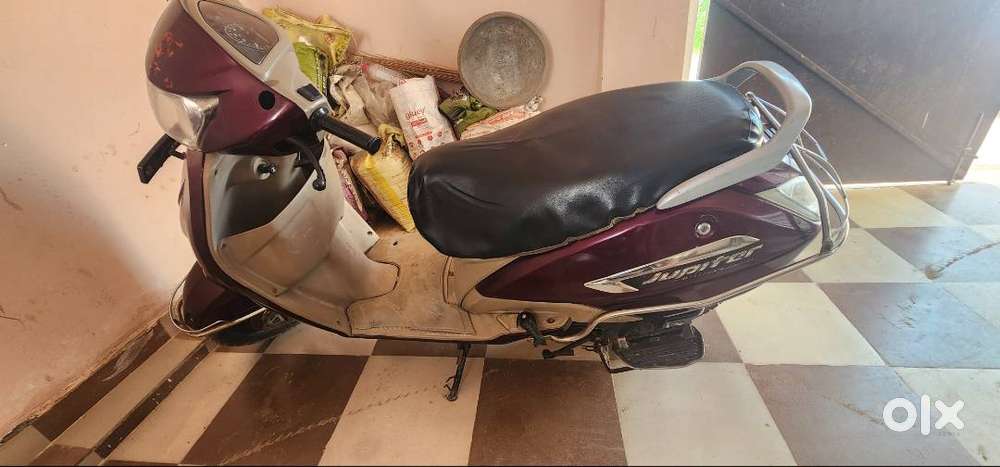 Tvs zupitar purple food condition