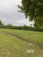 5000 sq ft agriculture land for sale in parsada