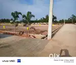 On Old Bommuru road facing housing plots for sales
