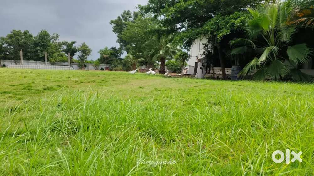 350/-per sqft of plots with Farmhouse 1 Room and kitchen