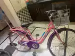 Bycycle Pink couler