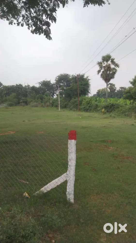 Near main road best investment