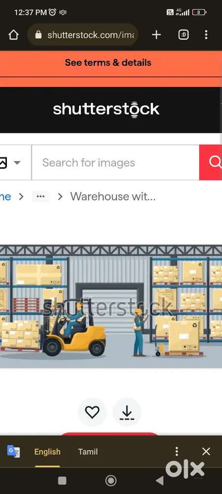 Immediately picker and packer - madhavaram