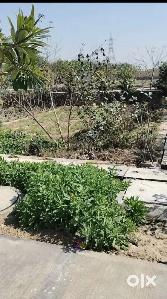 Vacant plot, Prime location, 150 gaj