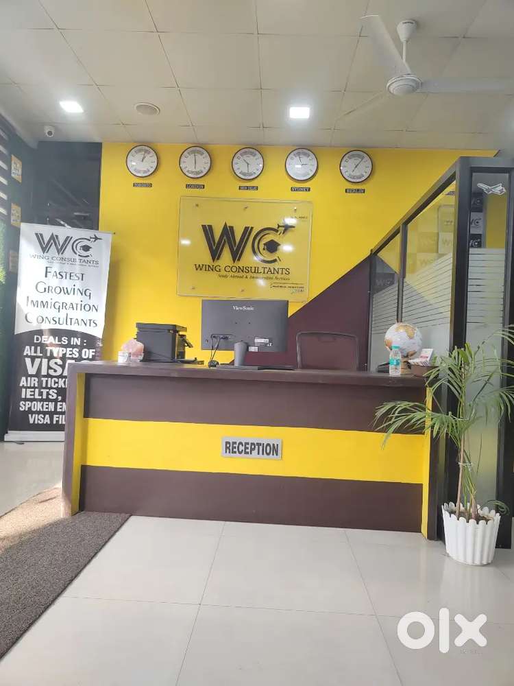 We want girl for immigration office