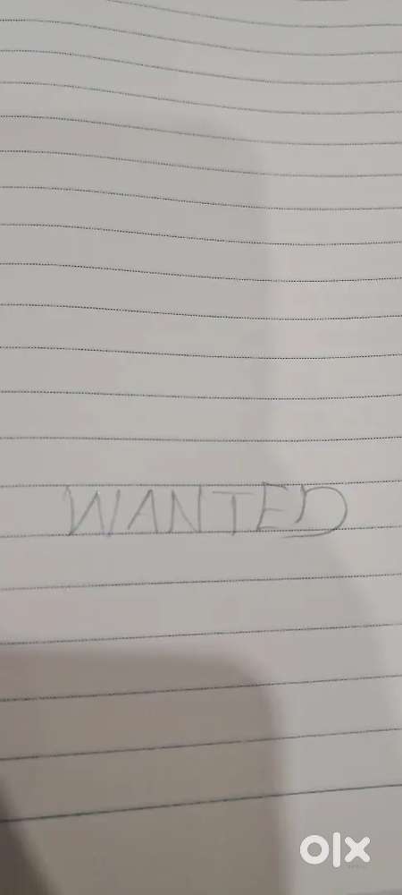 Wanted Accountant and office staff