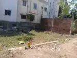 Patta land with loan