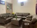 Designer 3+1+1 couch in best prices