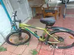 Rodeo cycle