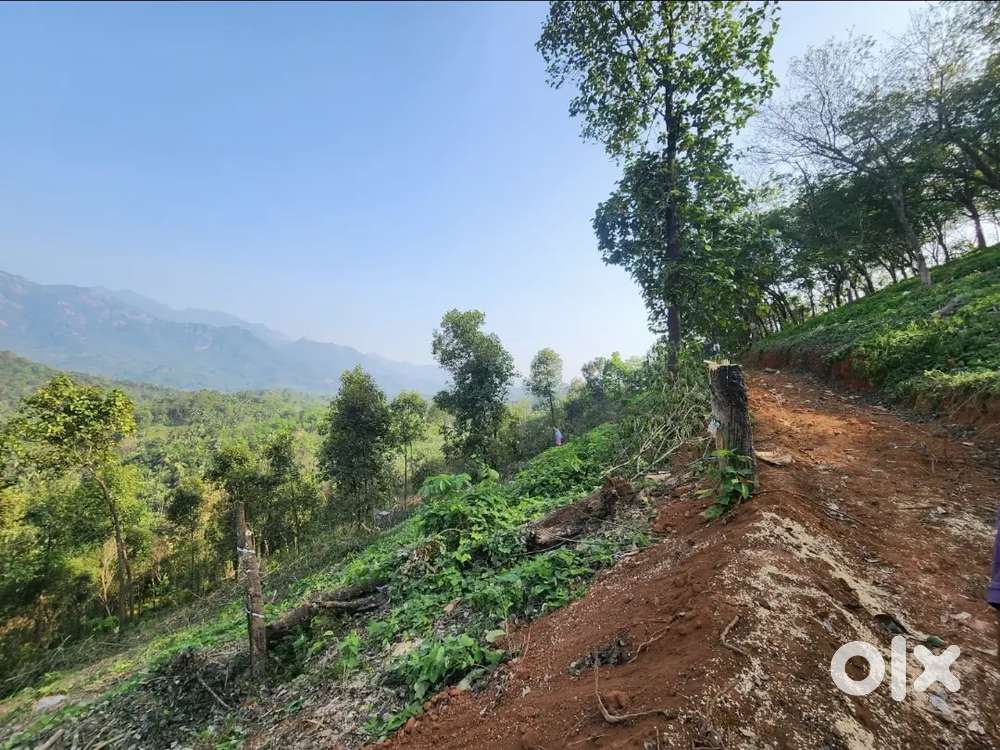 100 CENTS OF LAND AVAILABLE FOR SALE AT OMASSERY, PERILLY