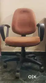 Study/ Office Chair- 11 nos.