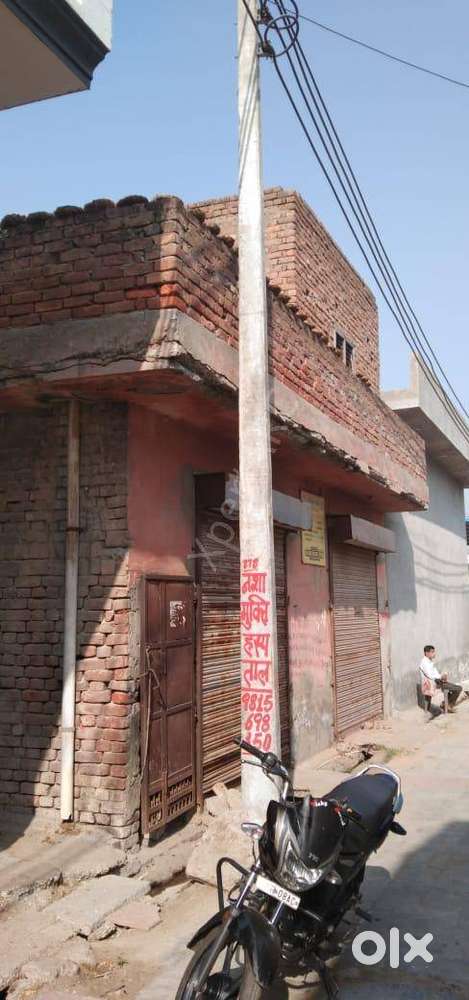 Commercial Dairy in Dongar Patti