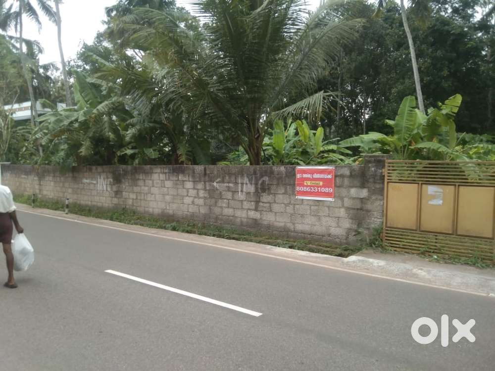 Square plot -22 cent for sale