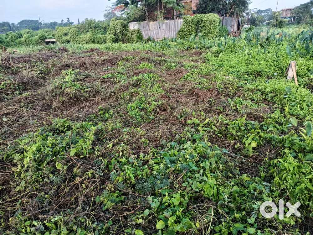 Selling the property