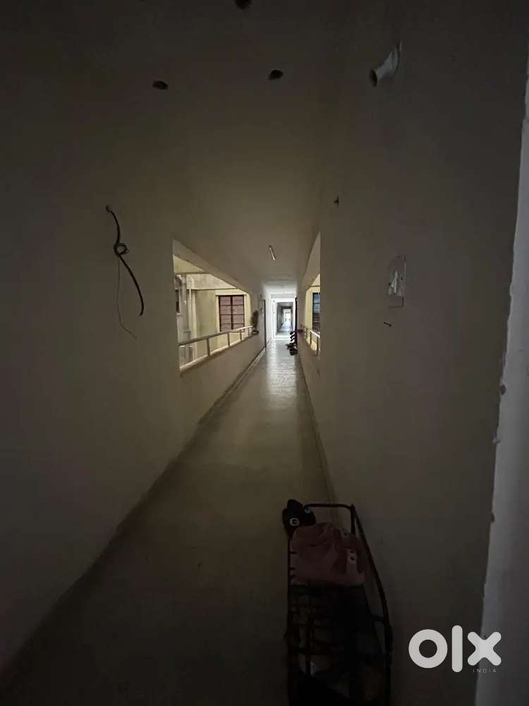 Need a girl roommate