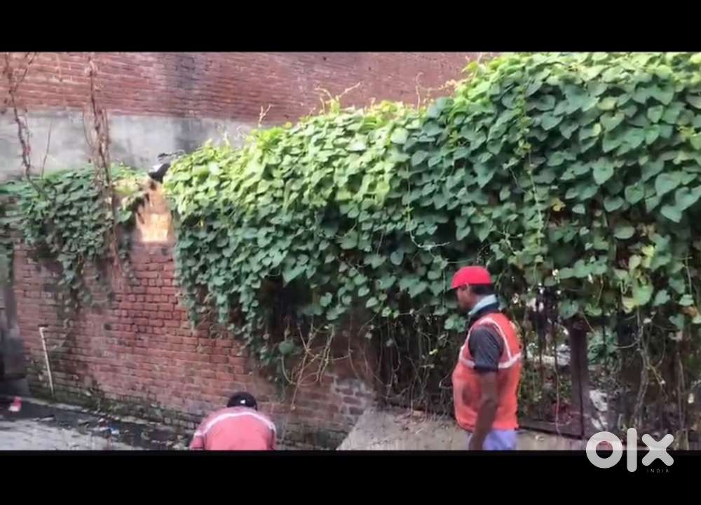 Shamanagar , taiyab dariy ke samne plot beekrie ka