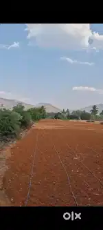 45 Gunta agri land for sale in inbetween Doddaballapura and Nandi Hill