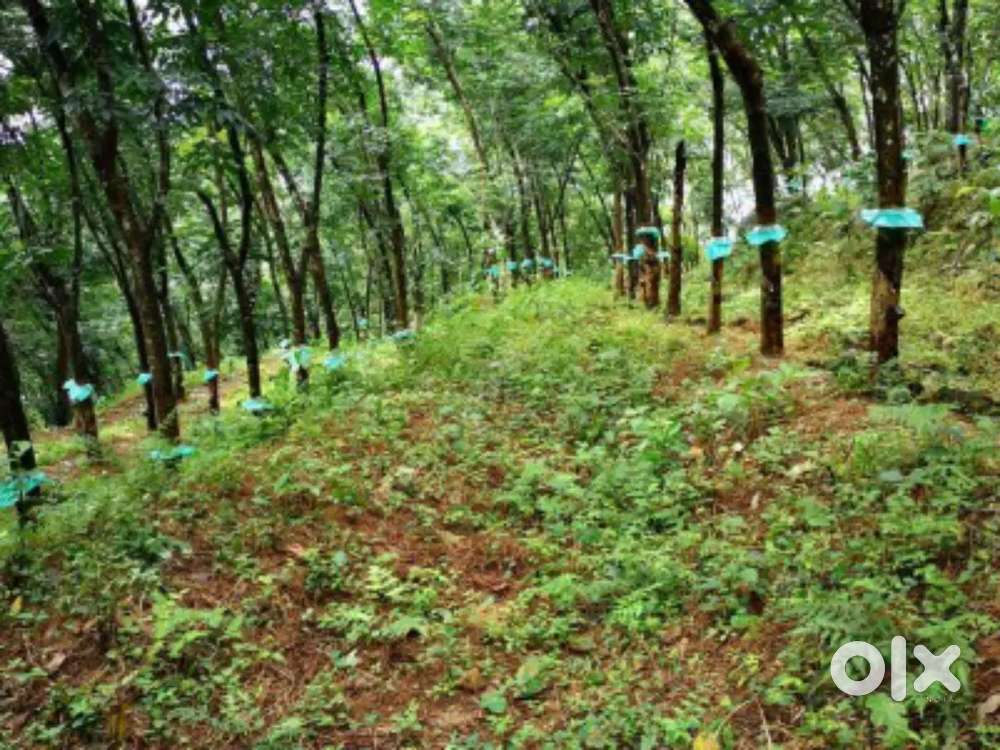 2 acre Plot For Sale bharathannoor (Mylamoodu and Semiyakkada)