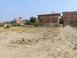 प्लाट ही प्लाट