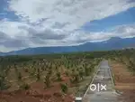 Vantage view Tropical and FARM land sale contac