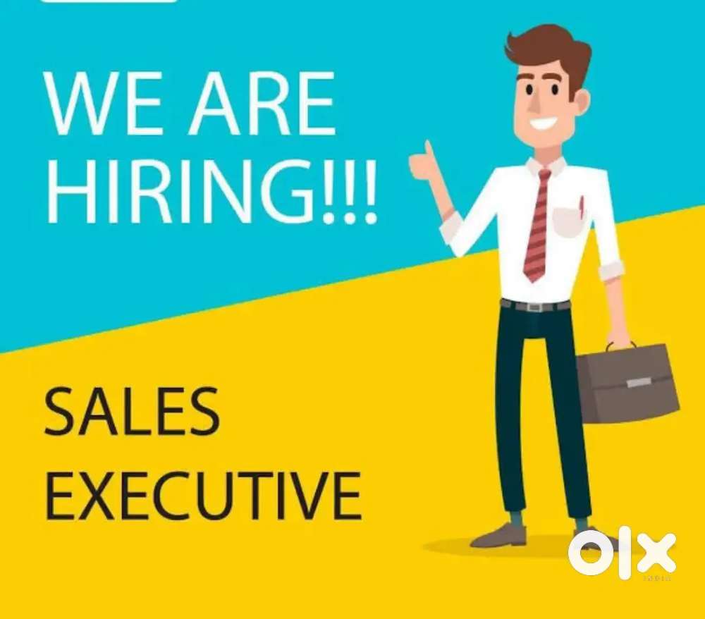 Field sales executive
