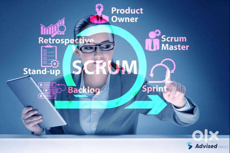 IT & Computer Training  Manual & Automation  Scrum  Web Dev Testing