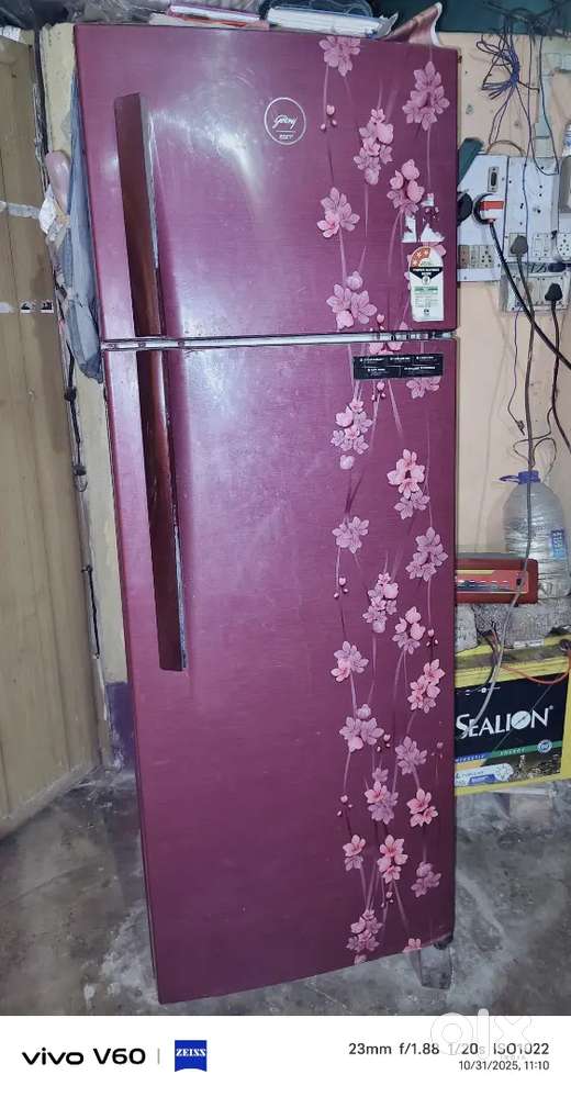 The product is a Godrej Eon 290 L Frost-Free Double Door Refrigerator.