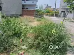 Anand niketen plot sale 81 p