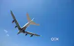 878 vacancy available for indigo airlines jobs nearest airport