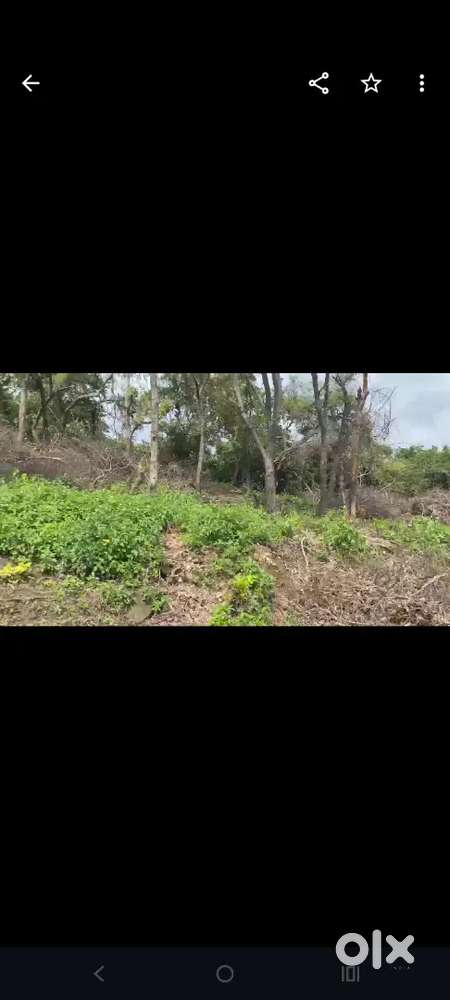 4 Bigha land available