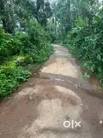 Urgent saleHouse plot,Villa project, Township property for sale